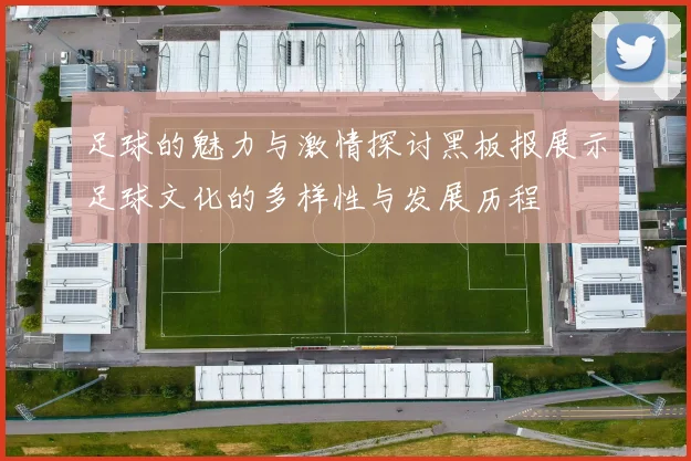 足球的魅力与激情探讨黑板报展示足球文化的多样性与发展历程
