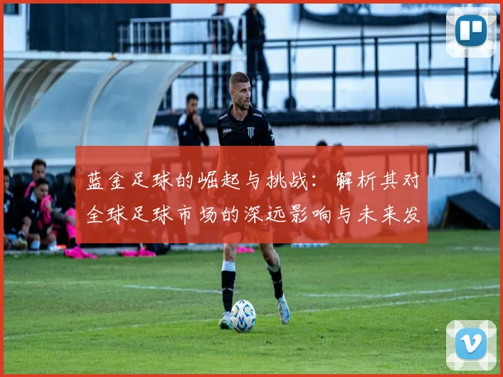 蓝金足球的崛起与挑战：解析其对全球足球市场的深远影响与未来发展趋势