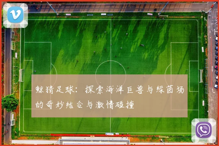 鲸猜足球：探索海洋巨兽与绿茵场的奇妙结合与激情碰撞